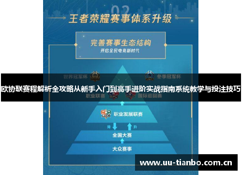 欧协联赛程解析全攻略从新手入门到高手进阶实战指南系统教学与投注技巧