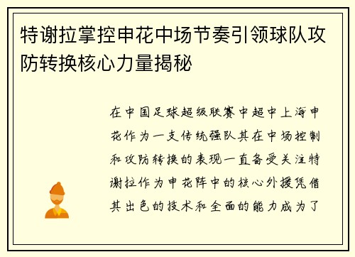 特谢拉掌控申花中场节奏引领球队攻防转换核心力量揭秘